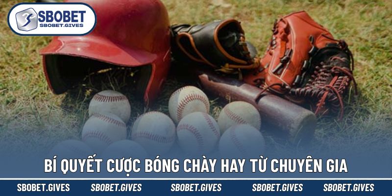 Chia sẻ mẹo cược bóng chày cực hiệu quả