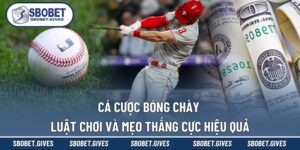 Cá Cược Bóng Chày - Luật Chơi Và Mẹo Thắng Cực Hiệu Quả