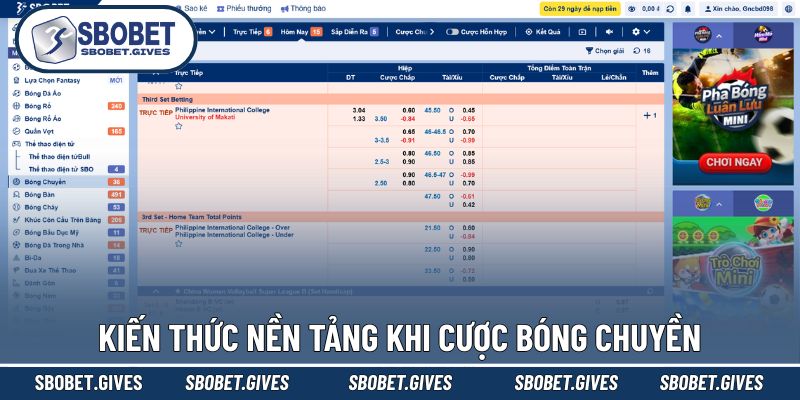 Những kiến thức cần biết khi cược bóng chuyền