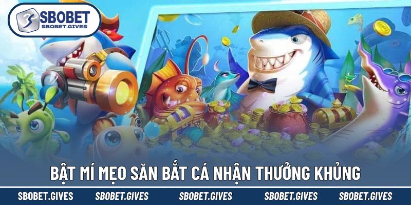 Kinh nghiệm săn bắt cá online cực hay