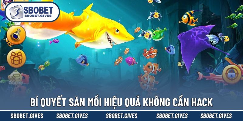 Tuyệt siêu bắt sinh vật biển thắng đậm